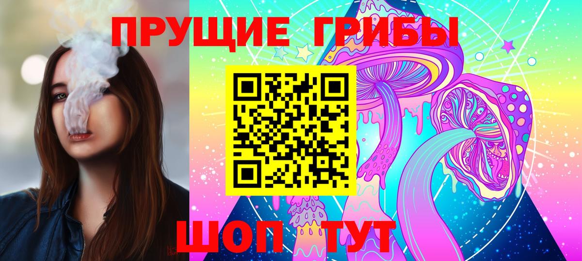 Псилоцибиновые грибы Psilocybe Ржев